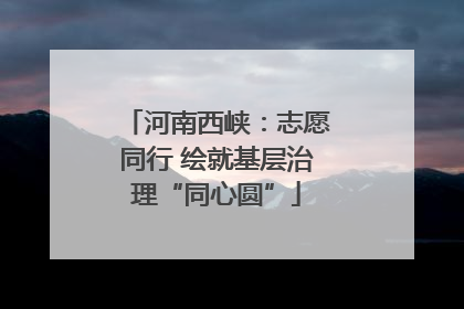 河南西峡：志愿同行 绘就基层治理“同心圆”