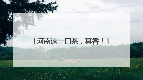 河南这一口茶，真香！