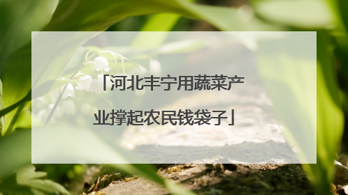 河北丰宁用蔬菜产业撑起农民钱袋子