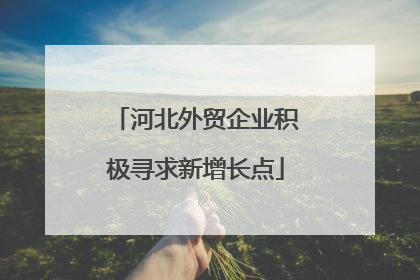 河北外贸企业积极寻求新增长点