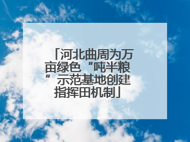河北曲周为万亩绿色“吨半粮”示范基地创建指挥田机制