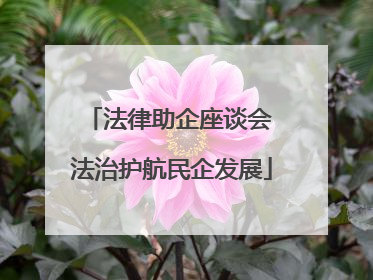 法律助企座谈会 法治护航民企发展