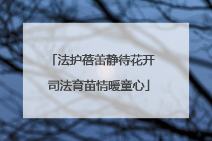 法护蓓蕾静待花开 司法育苗情暖童心