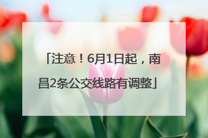 注意！6月1日起，南昌2条公交线路有调整