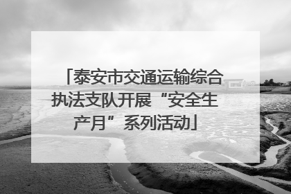 泰安市交通运输综合执法支队开展“安全生产月”系列活动