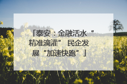 泰安：金融活水“精准滴灌” 民企发展“加速快跑”