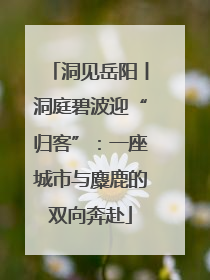 洞见岳阳丨洞庭碧波迎“归客”：一座城市与麋鹿的双向奔赴