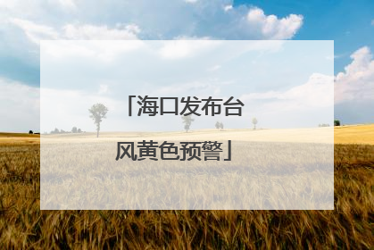 海口发布台风黄色预警