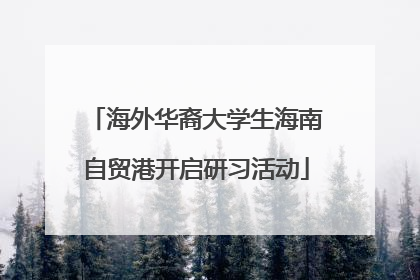 海外华裔大学生海南自贸港开启研习活动