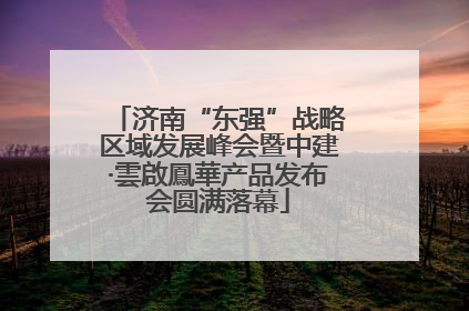济南“东强”战略区域发展峰会暨中建·雲啟鳳華产品发布会圆满落幕