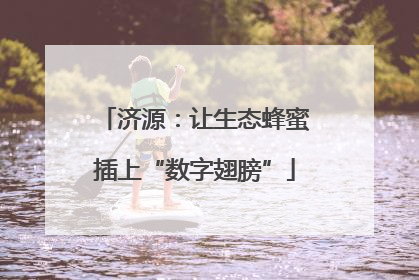 济源：让生态蜂蜜插上“数字翅膀”