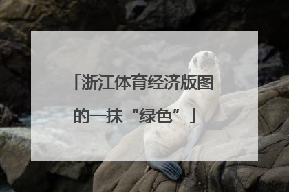 浙江体育经济版图的一抹“绿色”