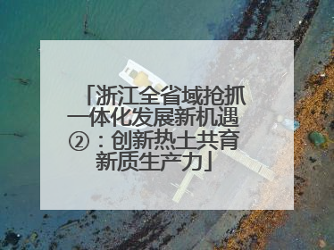 浙江全省域抢抓一体化发展新机遇②：创新热土共育新质生产力