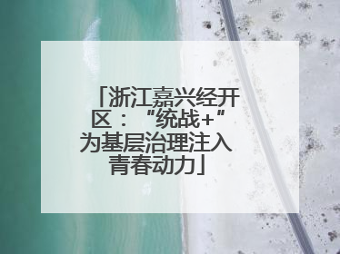 浙江嘉兴经开区：“统战+”为基层治理注入青春动力