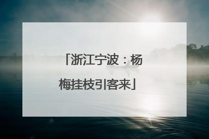 浙江宁波：杨梅挂枝引客来