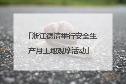 浙江德清举行安全生产月工地观摩活动