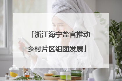 浙江海宁盐官推动乡村片区组团发展