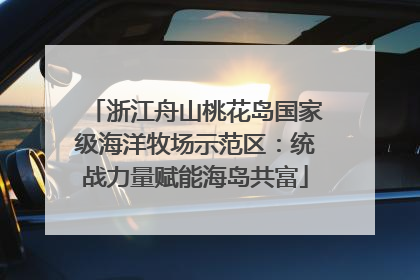 浙江舟山桃花岛国家级海洋牧场示范区：统战力量赋能海岛共富