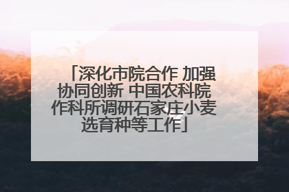 深化市院合作 加强协同创新 中国农科院作科所调研石家庄小麦选育种等工作