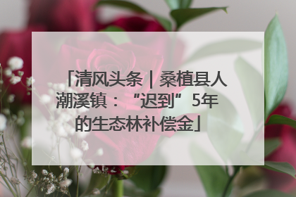 清风头条｜桑植县人潮溪镇：“迟到”5年的生态林补偿金
