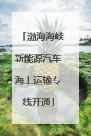 渤海海峡新能源汽车海上运输专线开通
