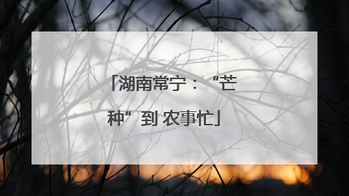 湖南常宁：“芒种”到 农事忙