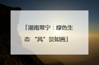 湖南常宁：绿色生态 “风”景如画