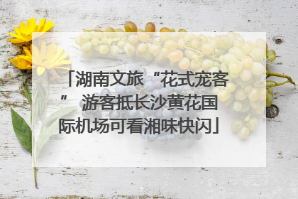 湖南文旅“花式宠客” 游客抵长沙黄花国际机场可看湘味快闪