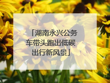 湖南永兴公务车带头跑出低碳出行新风景