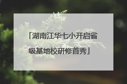 湖南江华七小开启省级基地校研修首秀