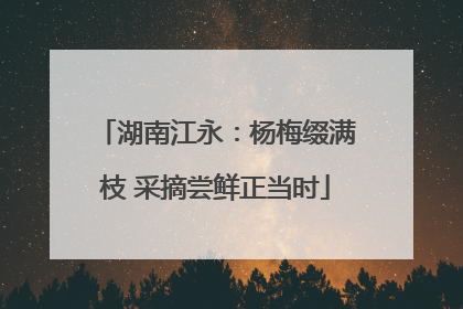 湖南江永：杨梅缀满枝 采摘尝鲜正当时
