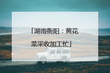 湖南衡阳：黄花菜采收加工忙