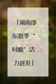 湖南邵东夏季“村晚”活力迸发