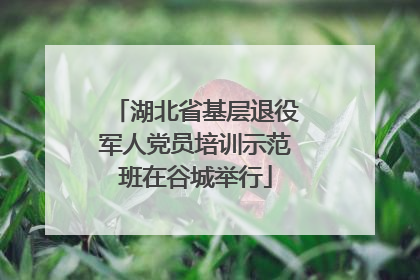 湖北省基层退役军人党员培训示范班在谷城举行