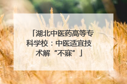 湖北中医药高等专科学校：中医适宜技术解“不寐”