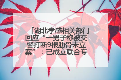 湖北孝感相关部门回应“一男子称被交警打断9根肋骨未立案”：已成立联合专班开展工作