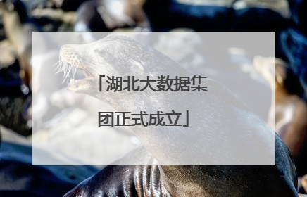 湖北大数据集团正式成立