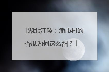 湖北江陵：潘市村的香瓜为何这么甜？