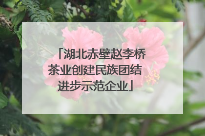 湖北赤壁赵李桥茶业创建民族团结进步示范企业