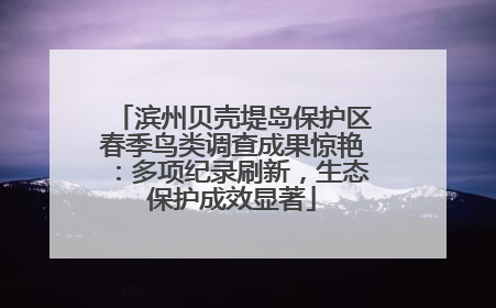 滨州贝壳堤岛保护区春季鸟类调查成果惊艳：多项纪录刷新，生态保护成效显著