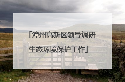 漳州高新区领导调研生态环境保护工作