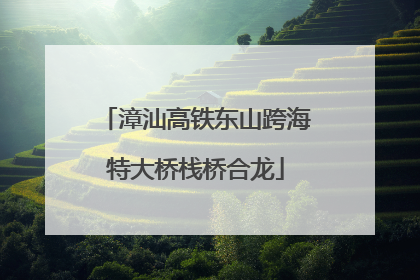 漳汕高铁东山跨海特大桥栈桥合龙