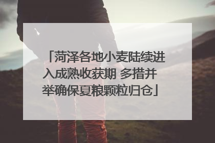 菏泽各地小麦陆续进入成熟收获期 多措并举确保夏粮颗粒归仓
