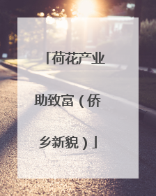 荷花产业助致富（侨乡新貌）