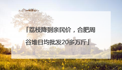 荔枝降到亲民价，合肥周谷堆日均批发20多万斤