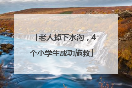 老人掉下水沟，4个小学生成功施救