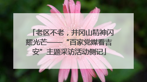 老区不老，井冈山精神闪耀光芒——“百家党媒看吉安”主题采访活动侧记