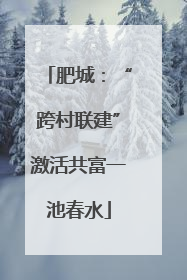 肥城：“跨村联建”激活共富一池春水