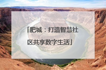 肥城：打造智慧社区共享数字生活