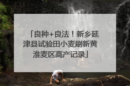 良种+良法！新乡延津县试验田小麦刷新黄淮麦区高产记录